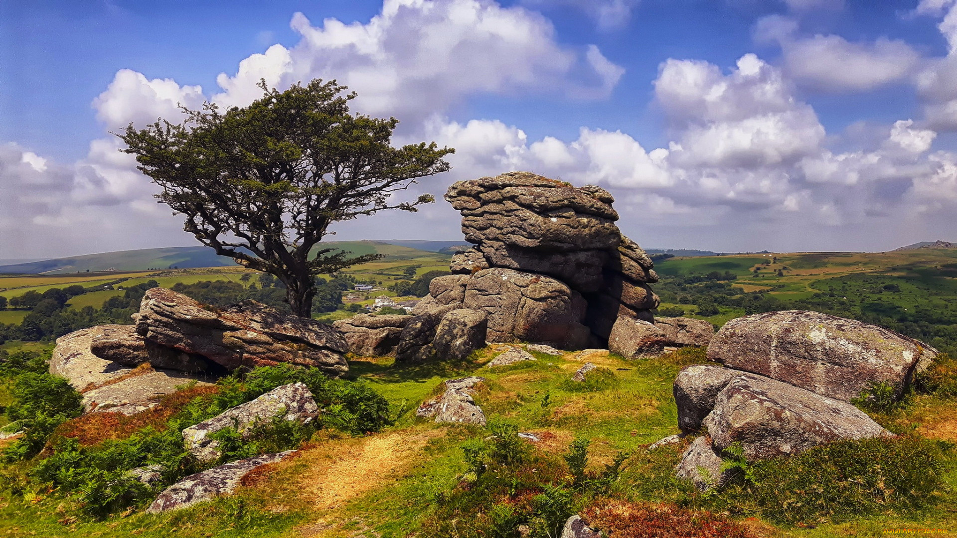 dartmoor, england, , 